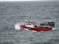 (379)Norwegen-Schottland